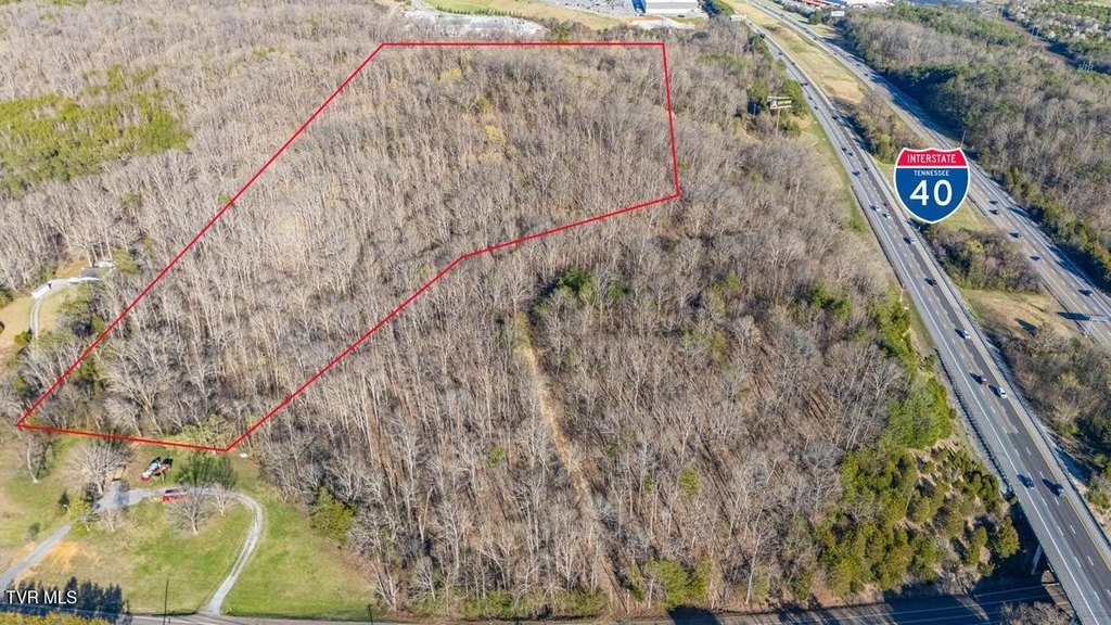 Picture 8