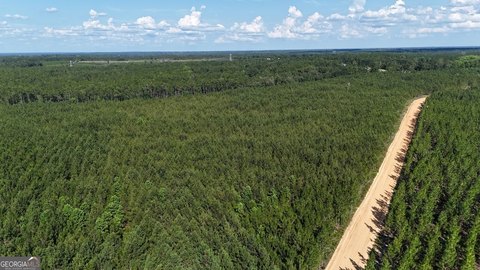 Secluded Land Near Altamaha River