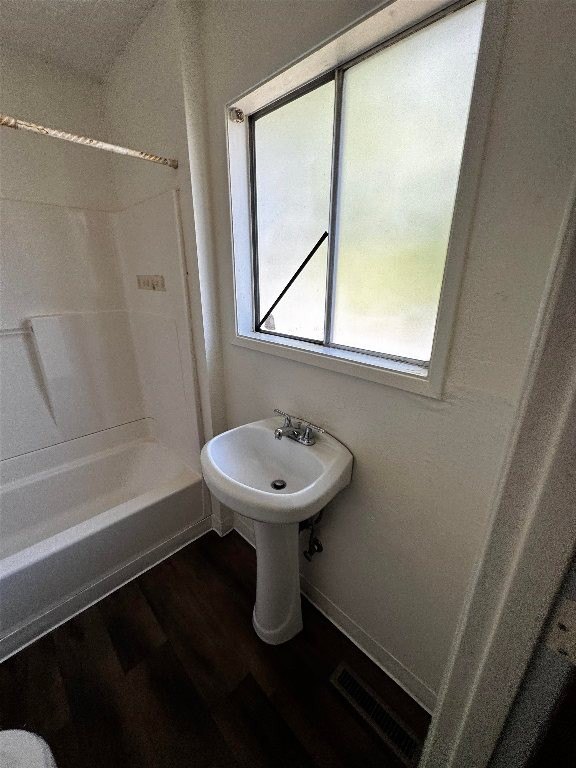 Picture 19