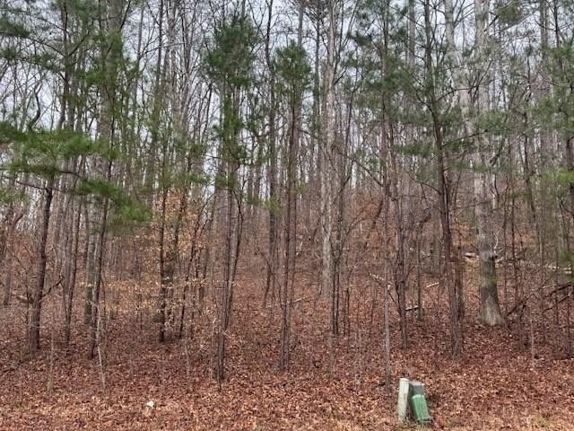 Residential Lot in Dalton, GA
