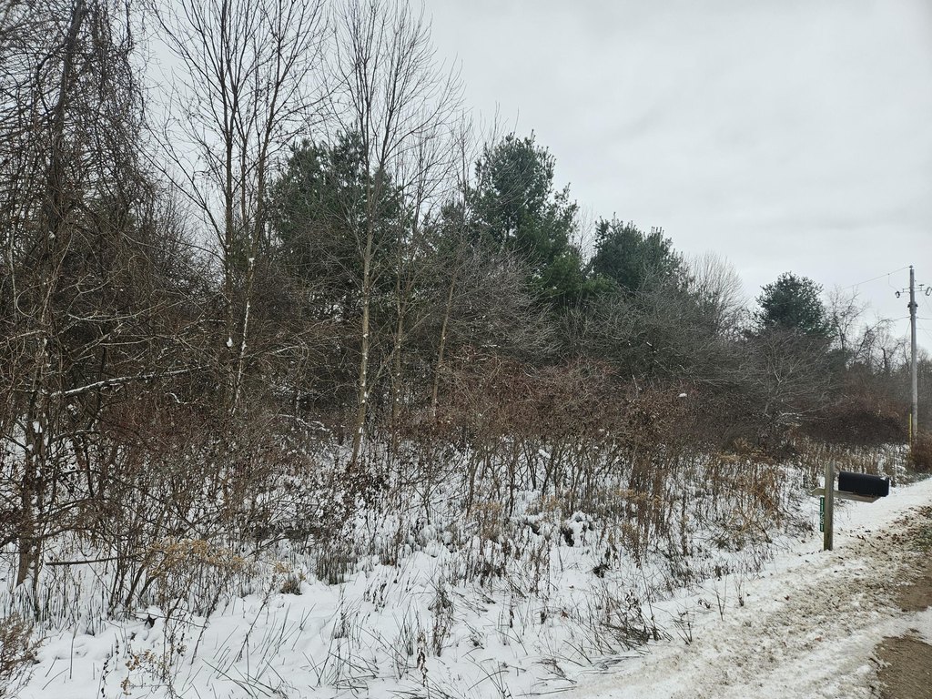 Picture 13