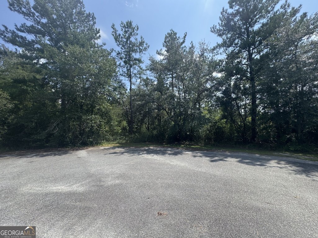Picture 16