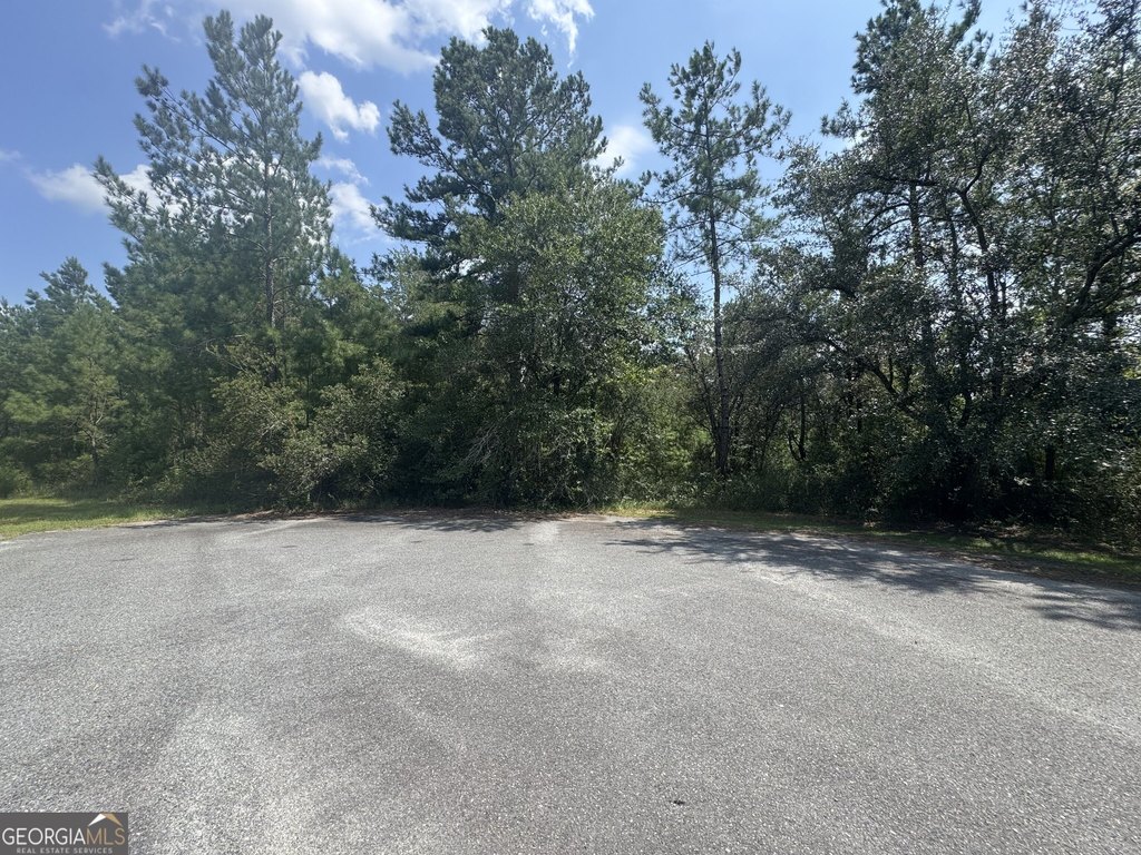 Picture 17