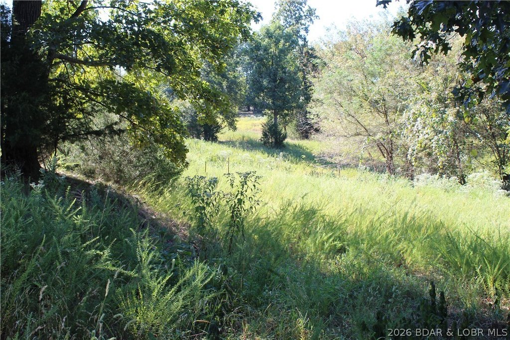 Picture 3