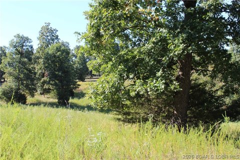 Land, Gravois Mills, MO