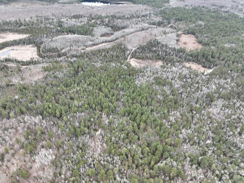 Heavily Wooded Land Near Forest