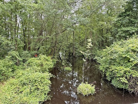 Land, Bennettsville, SC