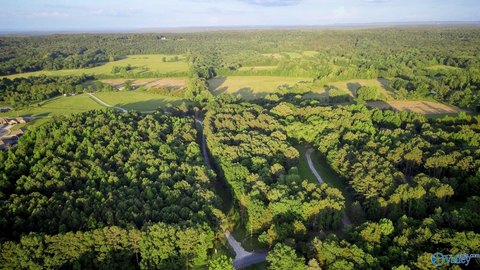 Decatur Land Opportunity