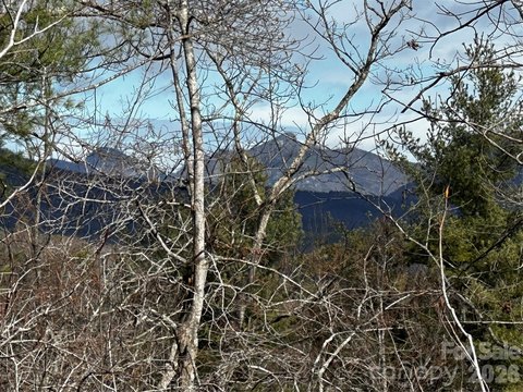 Land, Nebo, NC
