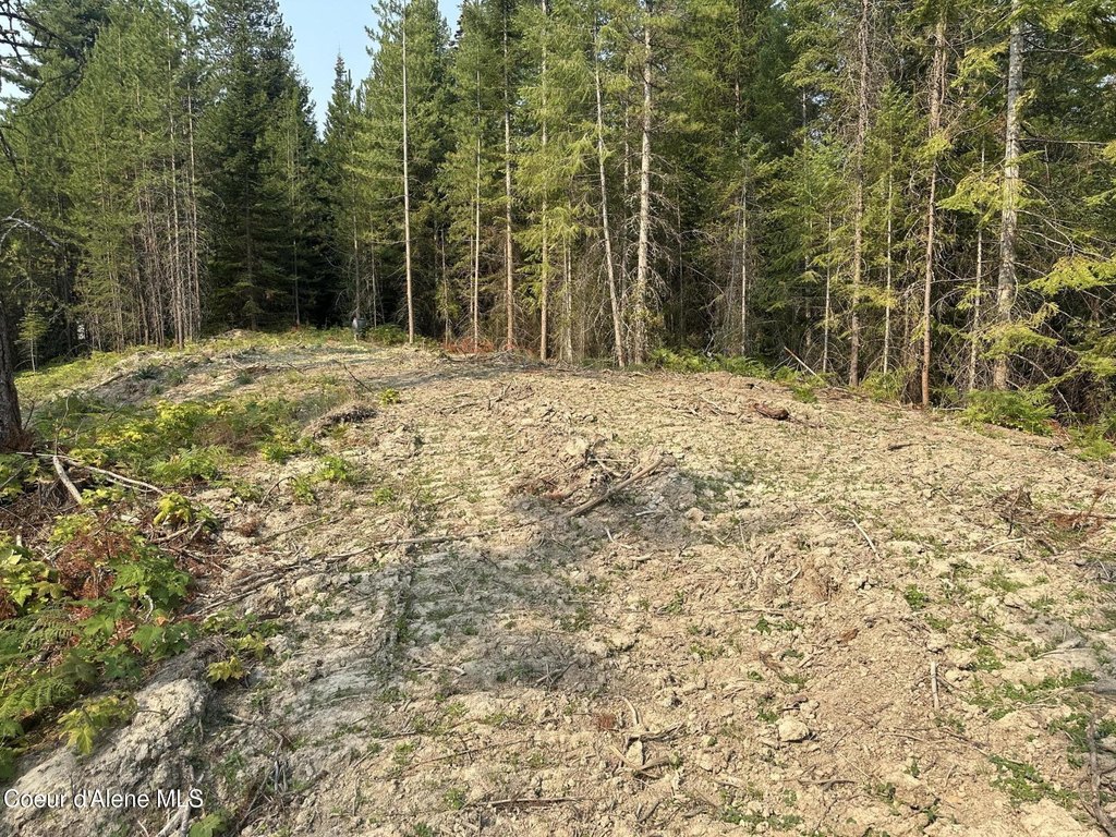 Picture 5