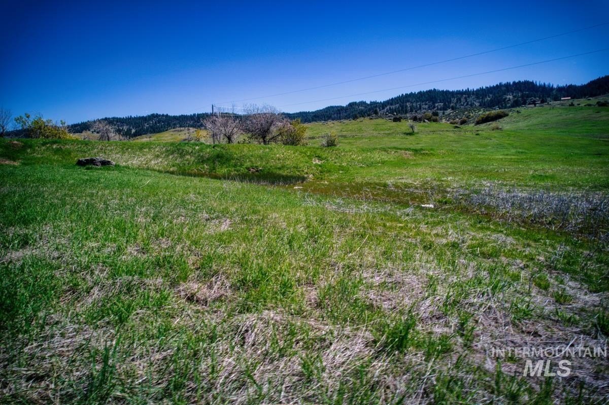 Ola ID Land For Sale