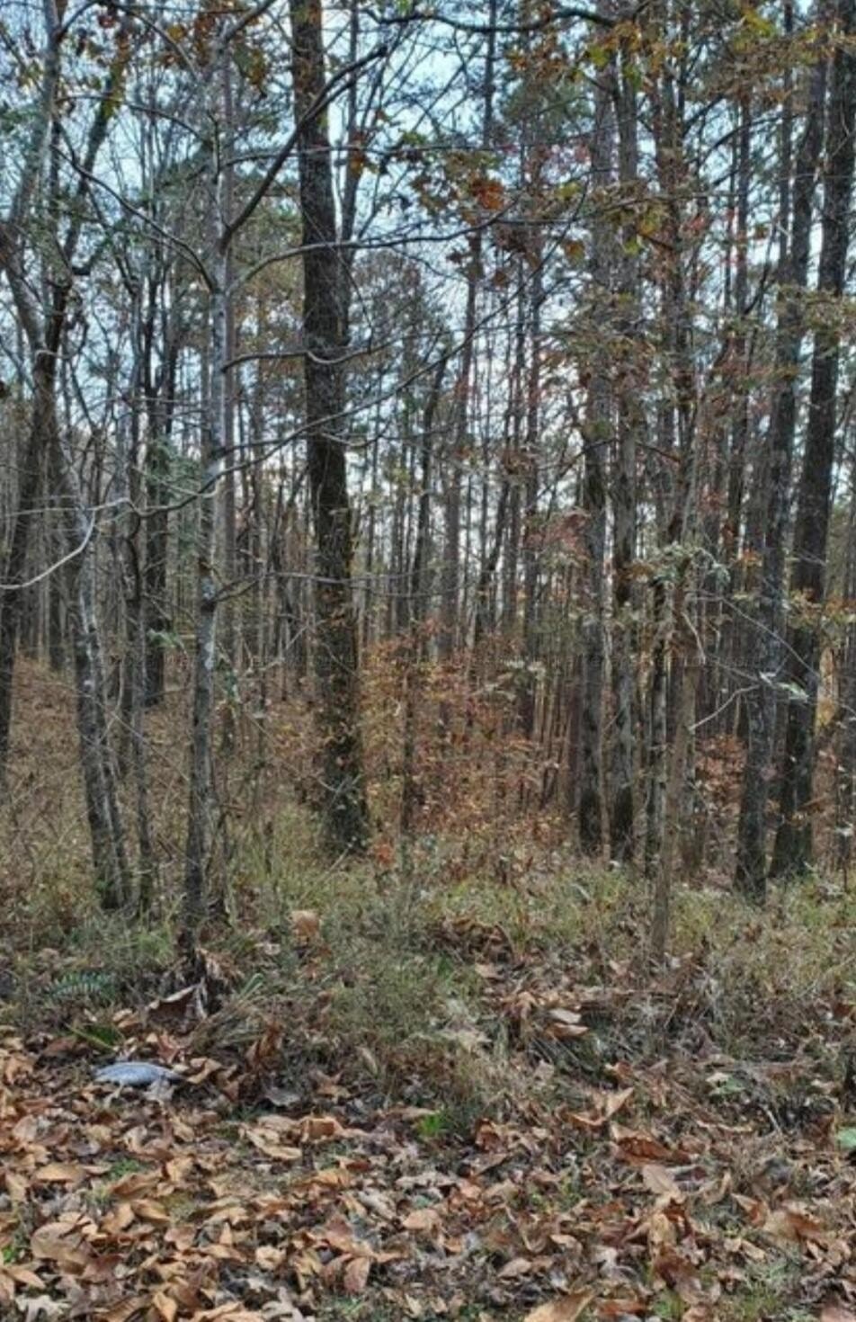 Smith Lake Water Access Lots
