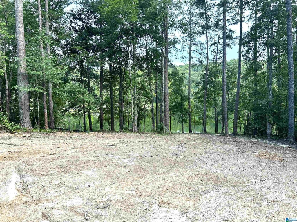 Picture 10