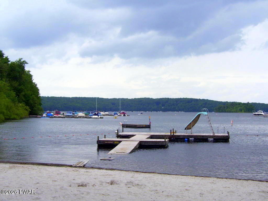 Picture 8