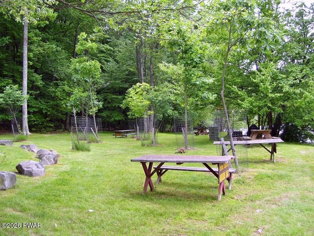 Picture 10