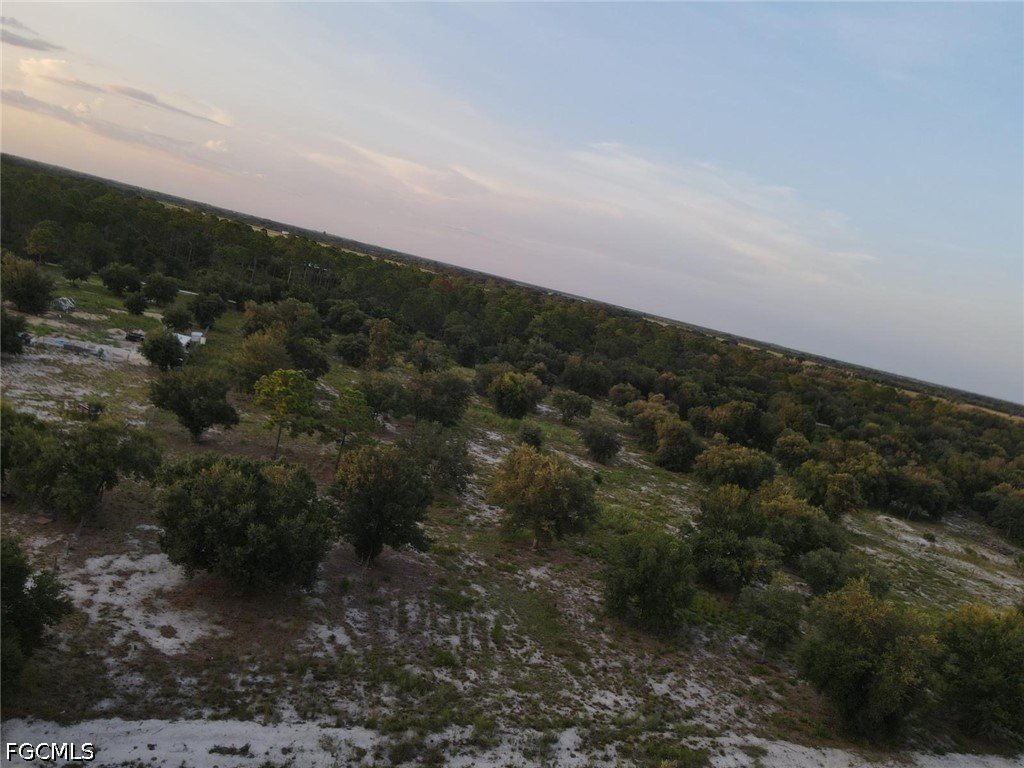 Picture 8