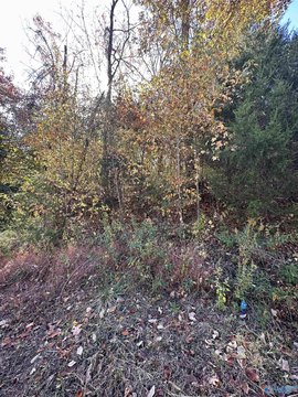 Residential Land in Legacy Preserve