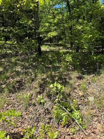 Residential Land in Vian, OK