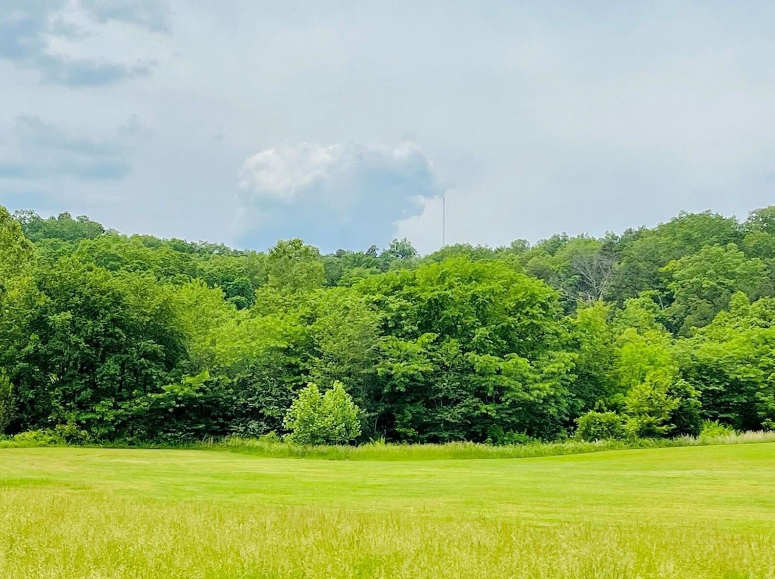 Current River Access Land