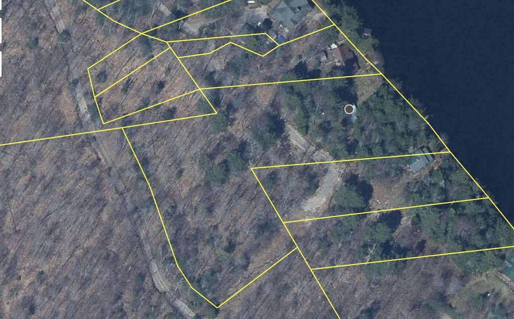 Picture 8