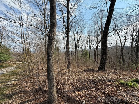 LAND - Flat Rock, NC