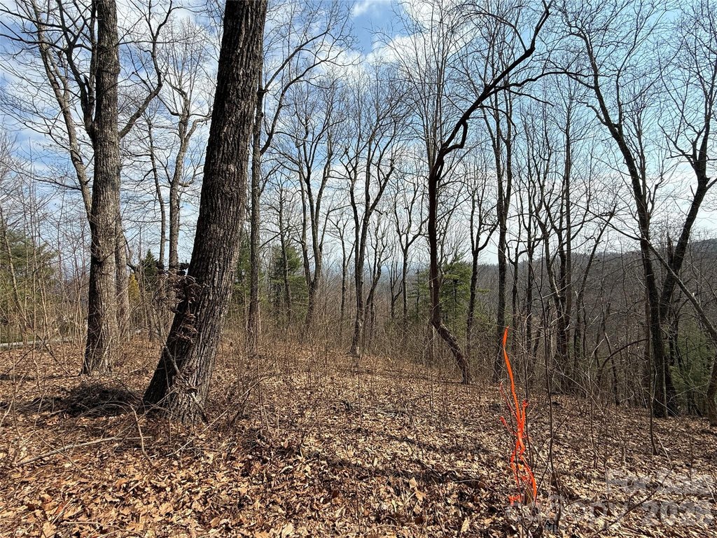 Picture 24