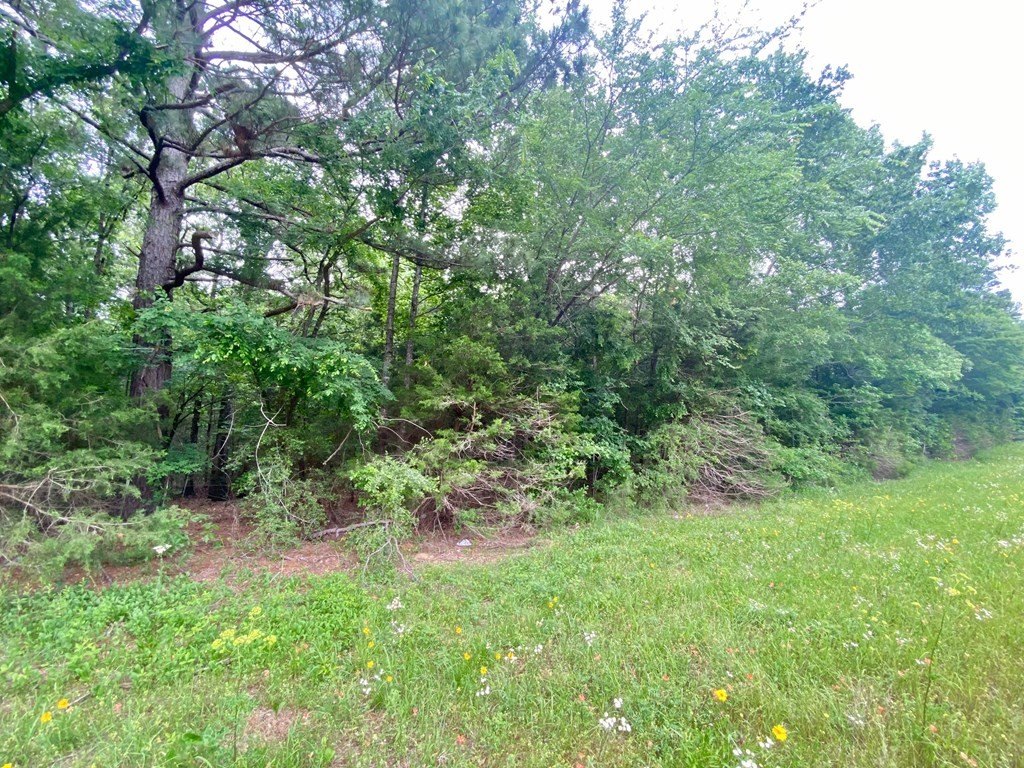 Picture 3