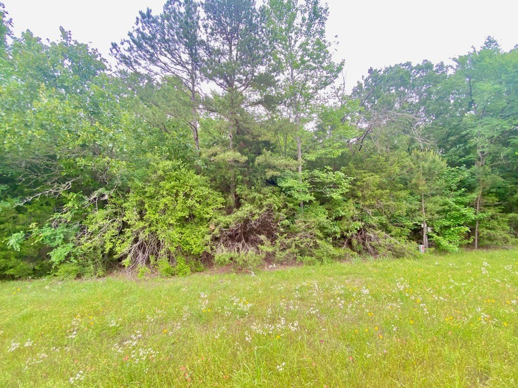 Picture 6
