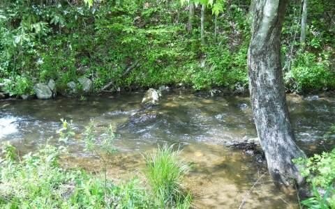 Hayesville, NC Waterfront Land