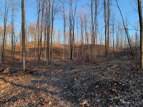 37.51 Acres Near Bear Lake