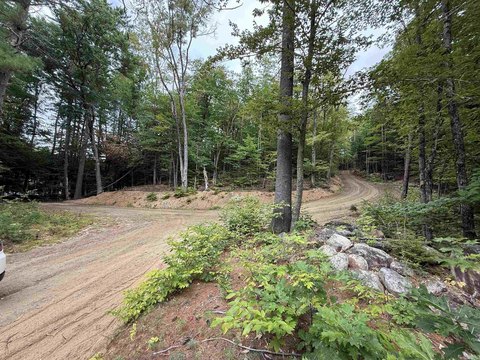 Land, Madison, NH