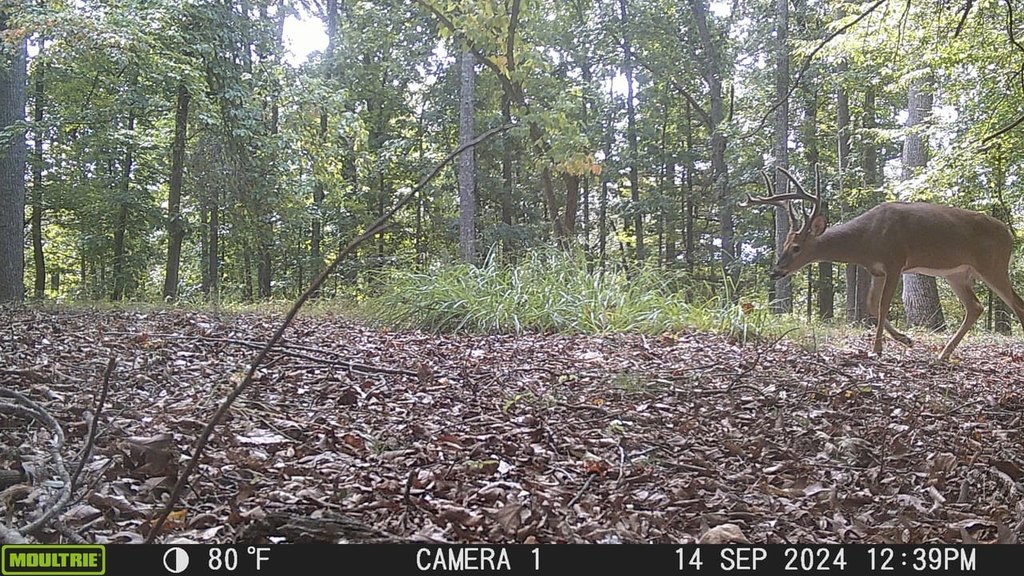 Picture 2