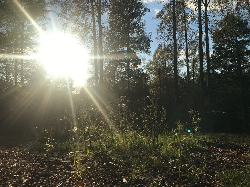 Picture 23