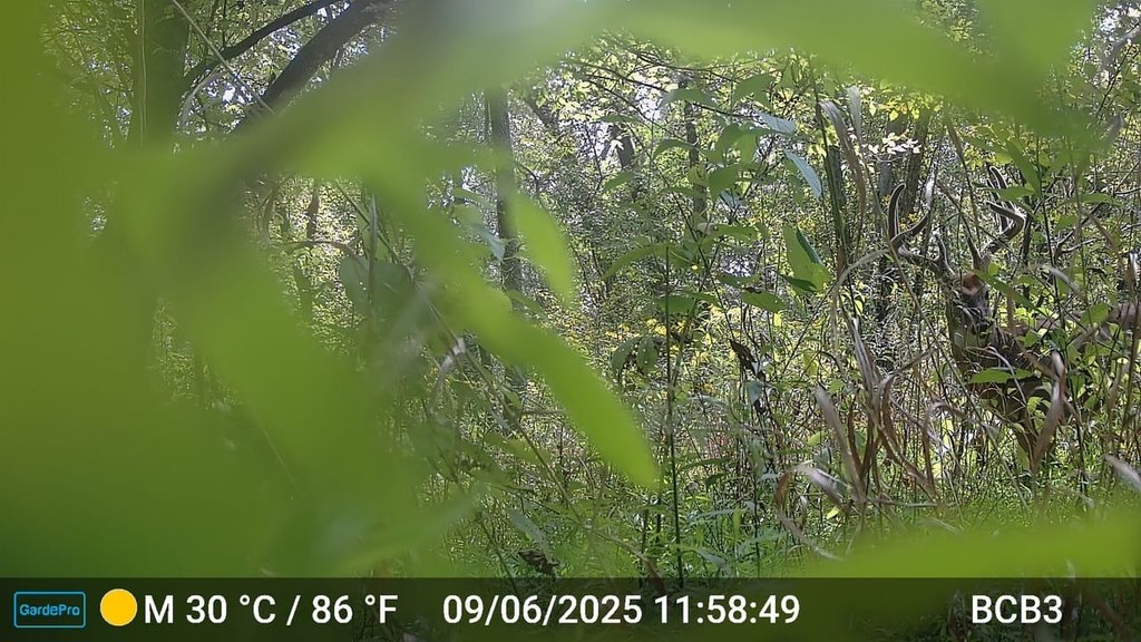 Picture 12