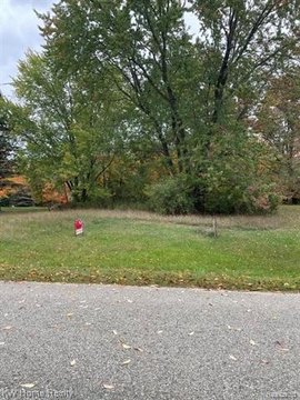 Vacant Land, Surrey Twp, MI