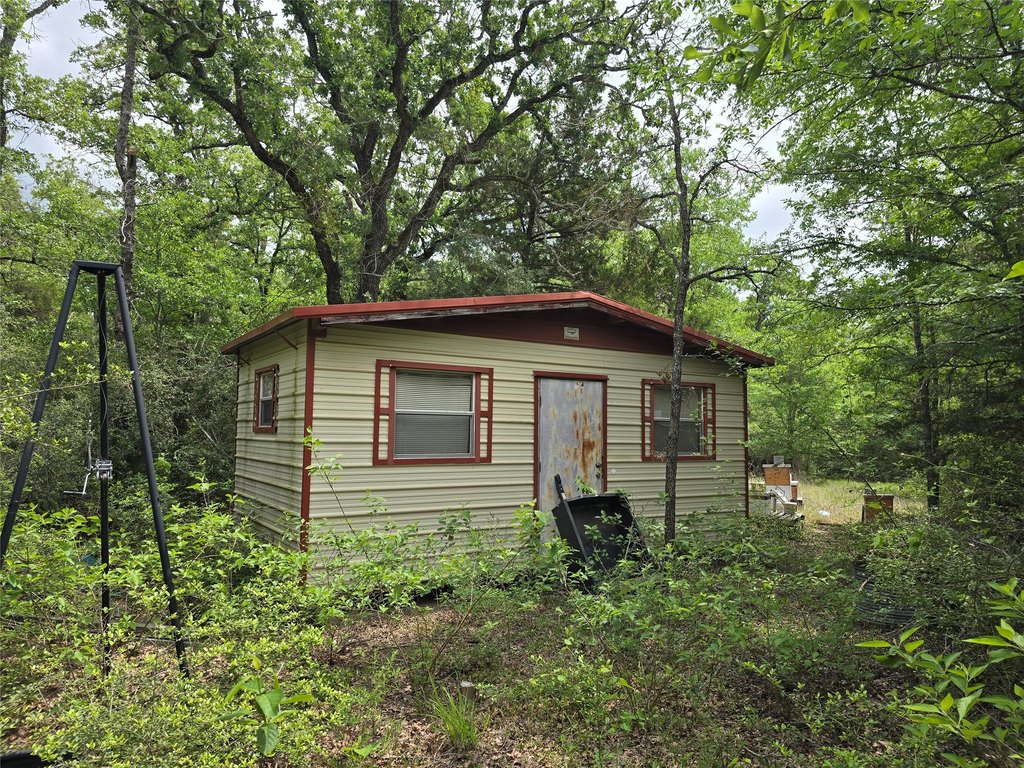 Picture 23