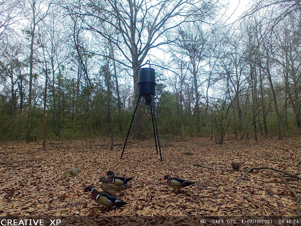 Picture 11