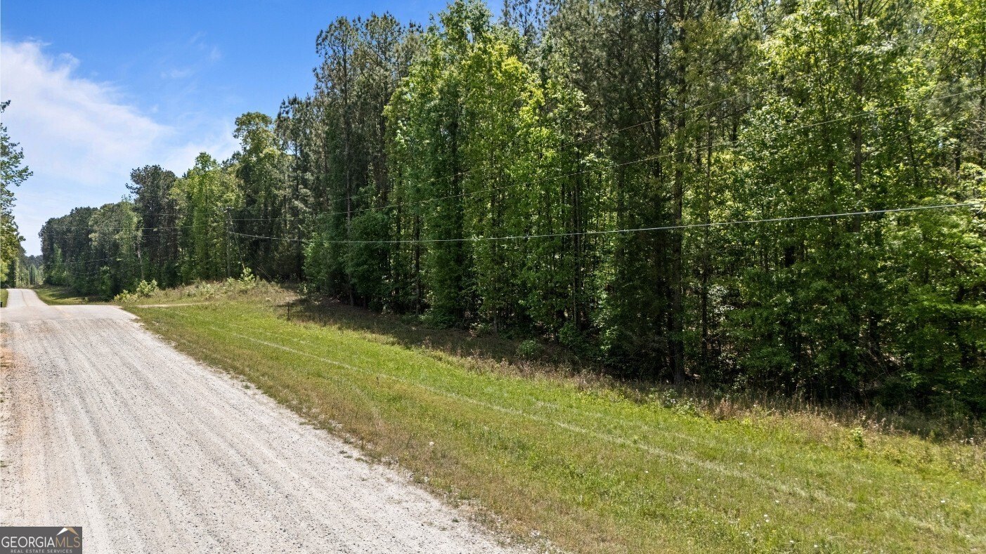 Land with Creek Access