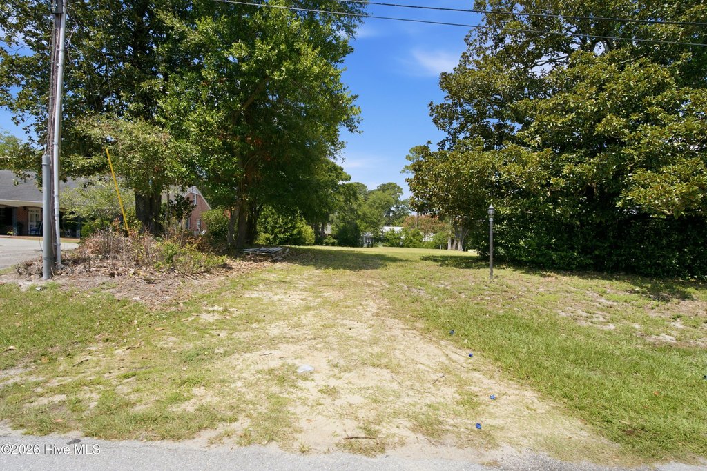 Picture 13