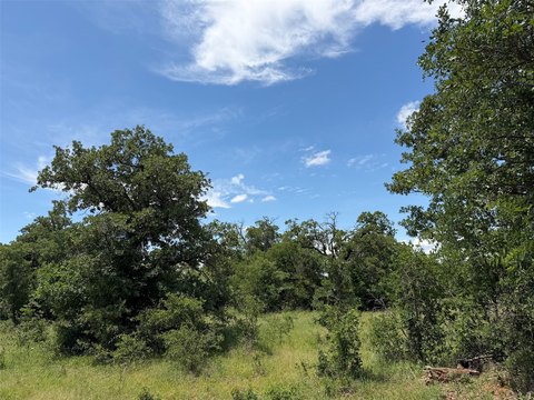 Heavily Wooded Hunting Land