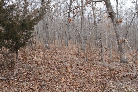 LAND - Edwards, MO