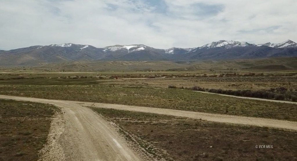 Picture 10