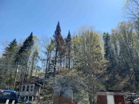 Columbia, NH Land with Skiing