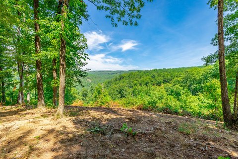 Land, Guild, TN
