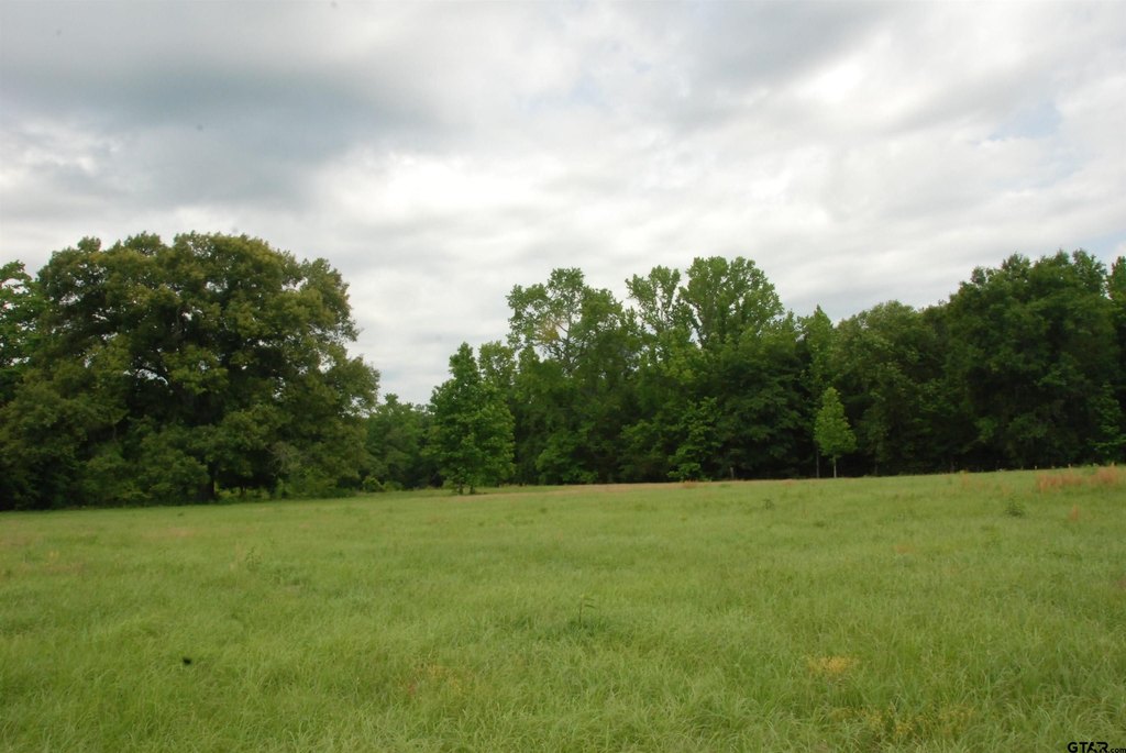 Picture 17