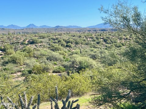 Scottsdale Equestrian Dream Homesite