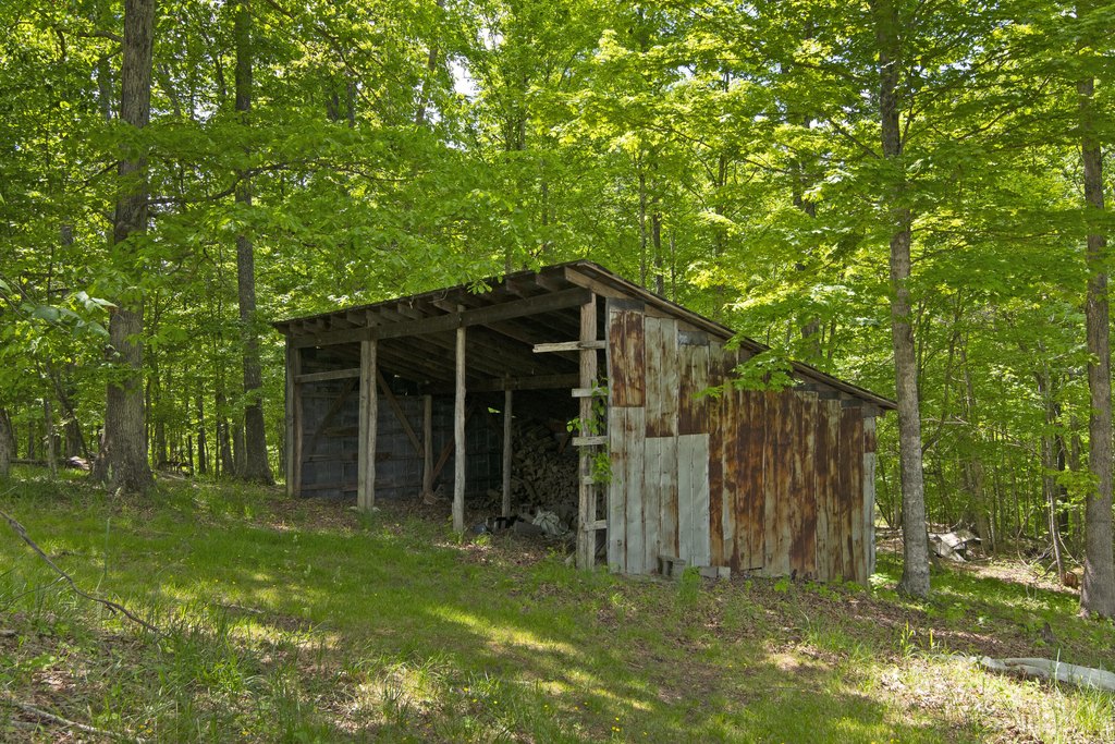 Picture 32