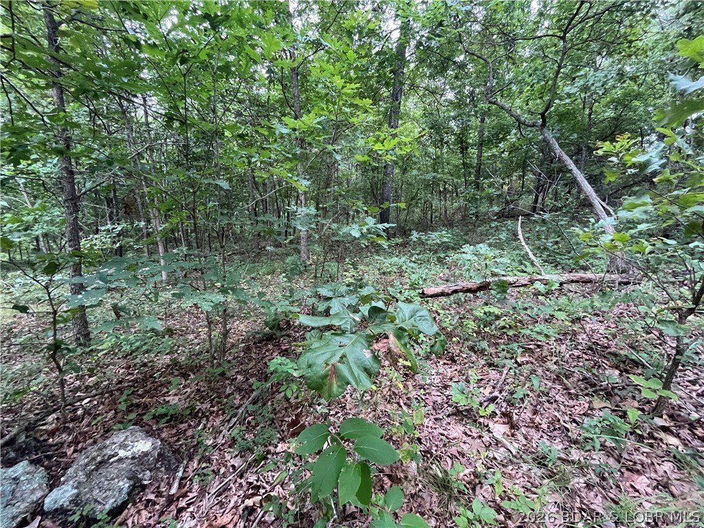Picture 22