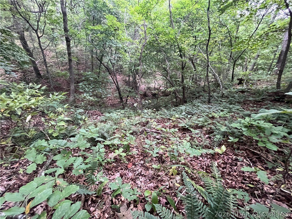 Picture 23