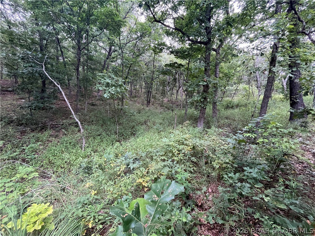 Picture 30